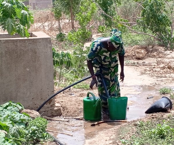 Mali_novembre 2024_installations pour les bénéficiaires_1