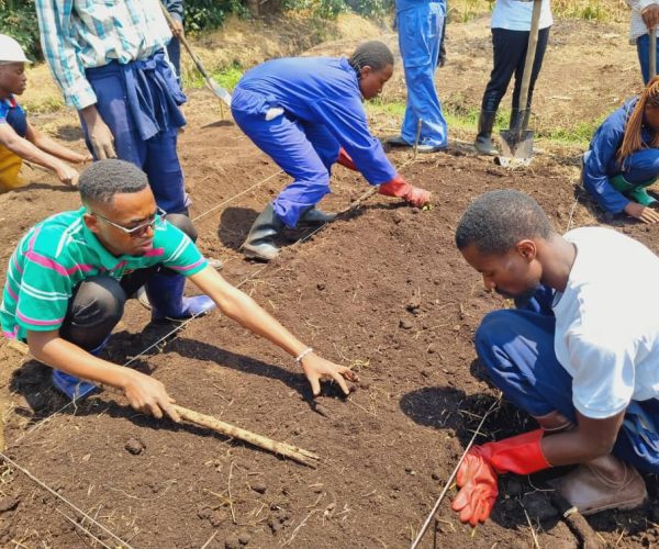 RDC_Octobre 2024_jeunes en agroécologie_1