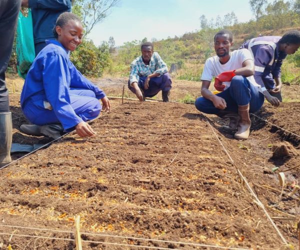 RDC_Octobre 2024_jeunes en agroécologie_3